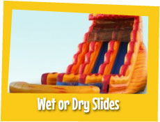 Wet or Dry Slides Wet or Dry Slides